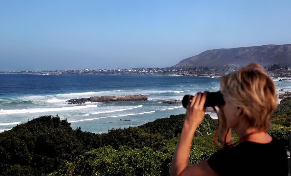 Hermanus Beach Villa Екстер'єр фото