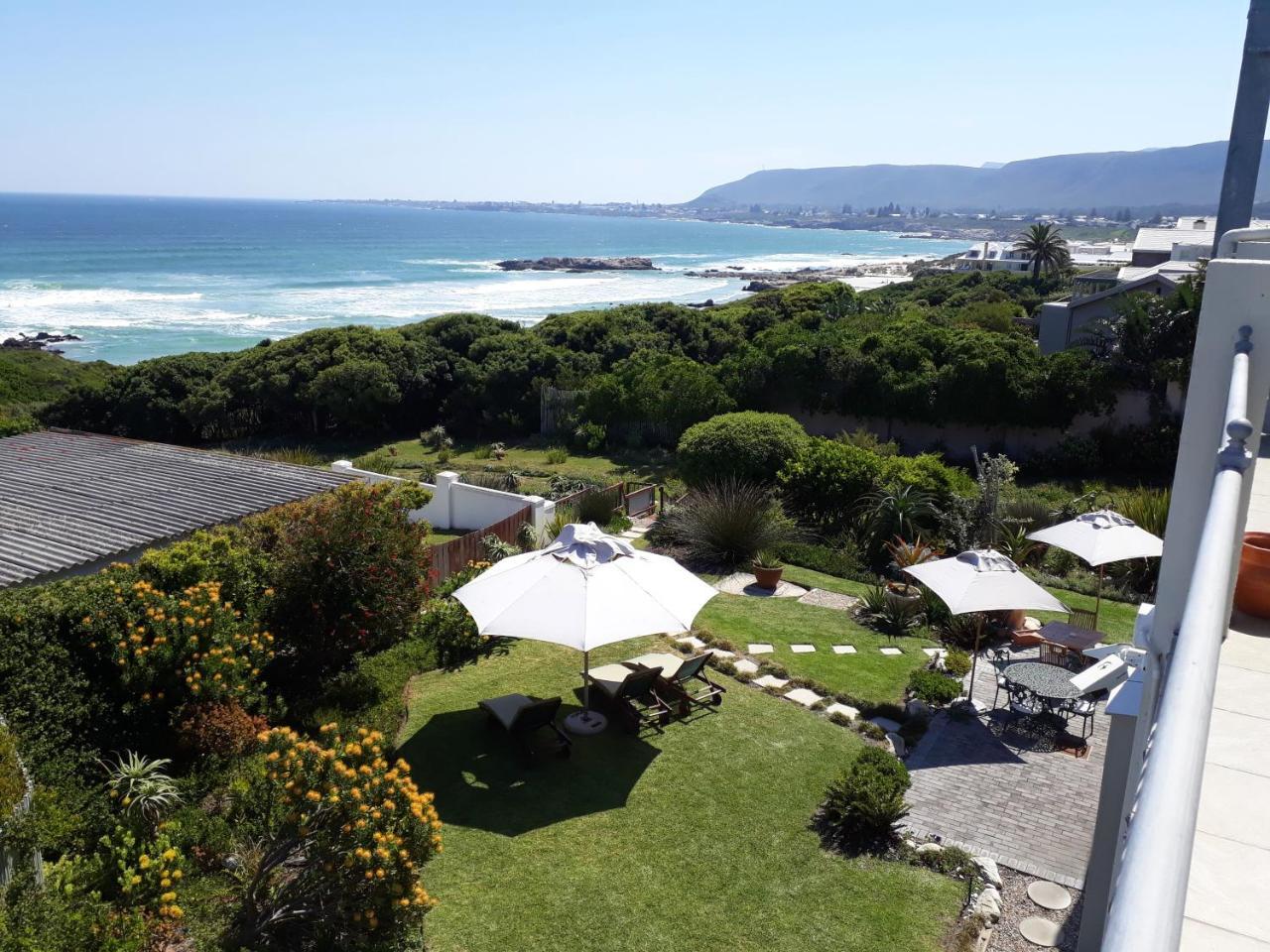 Hermanus Beach Villa Екстер'єр фото