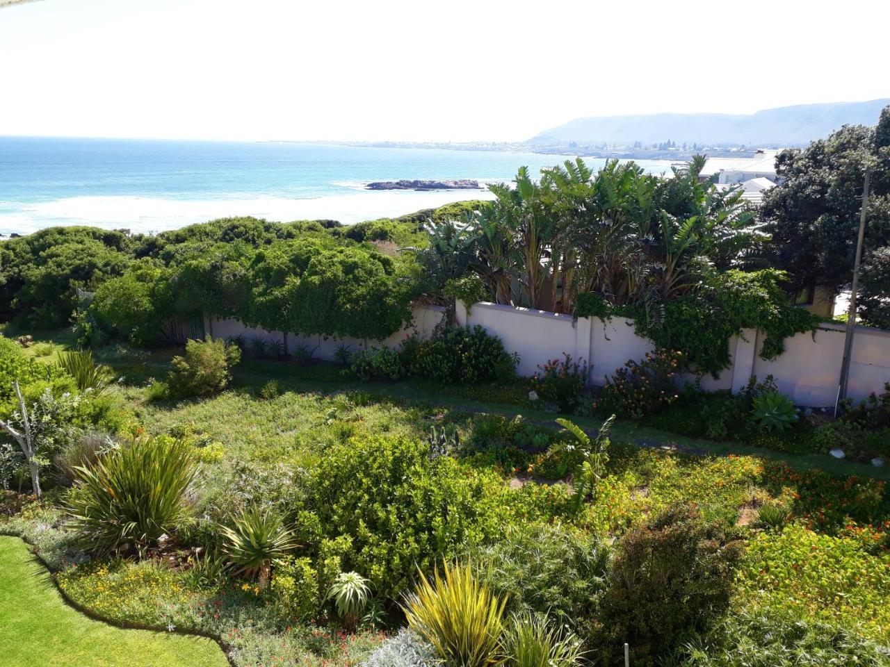 Hermanus Beach Villa Екстер'єр фото